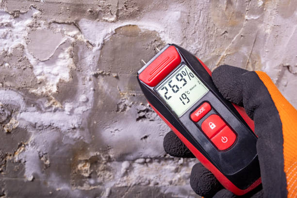 Best Professional Mold Removal  in Zillah, WA