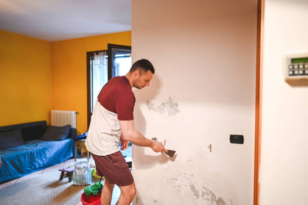 Best Emergency Mold Removal  in Zillah, WA