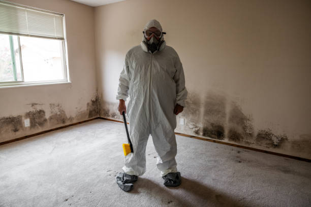 Best Residential Mold Removal  in Zillah, WA
